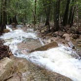 Review photo of Narrows Too Camping Resort by Bran P., September 26, 2016