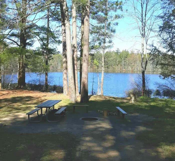 Camper submitted image from Tom's Lake Cabin - 1