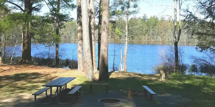 Camper submitted image from Tom's Lake Cabin