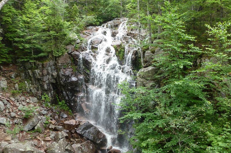 Camper submitted image from Narrows Too Camping Resort - 2