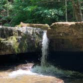 Review photo of Mash Fork Campground — Camp Creek State Park by Dawn M., August 17, 2019