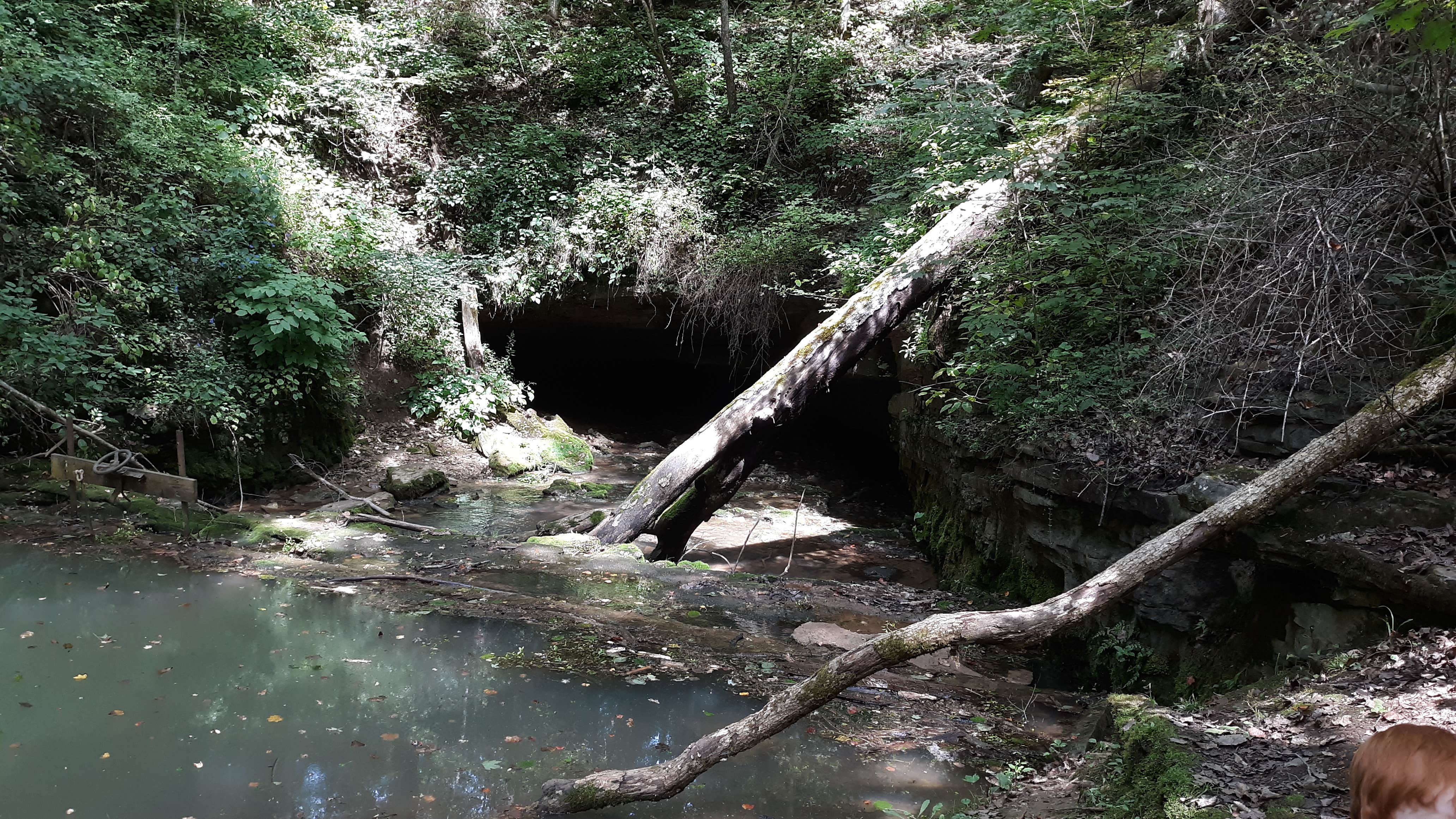 One of the many caves at the State Park. (Bronson cave)
