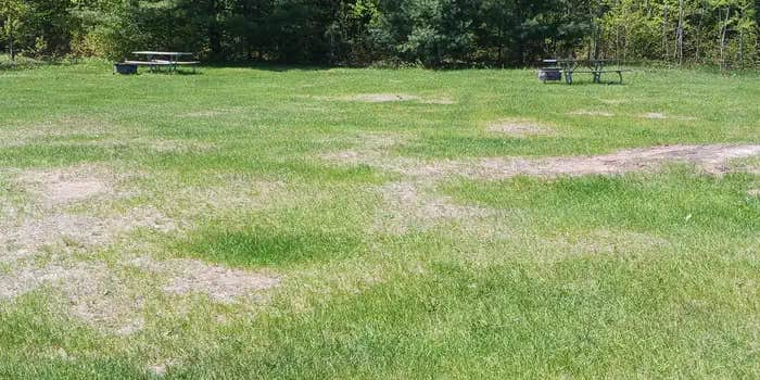 Camper submitted image from Cookson Lake Campground