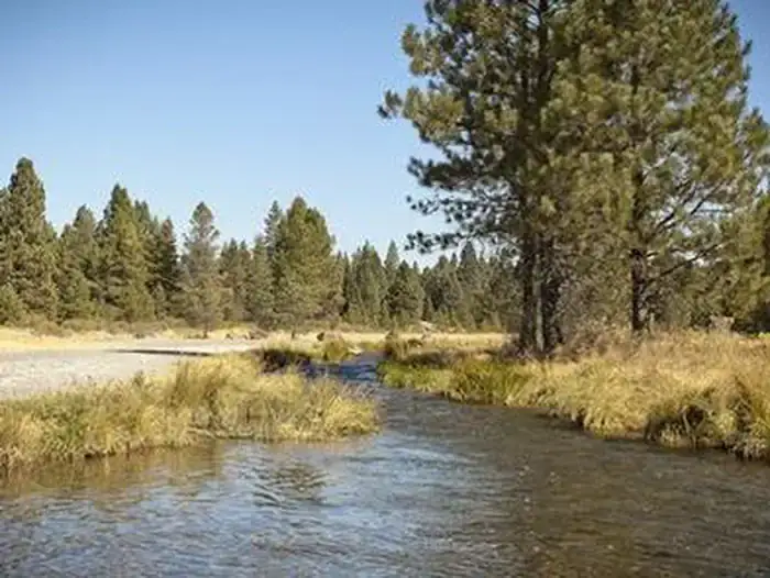 Camping near Thousand Trails Bend-Sunriver: Ogden Group, La Pine, Oregon