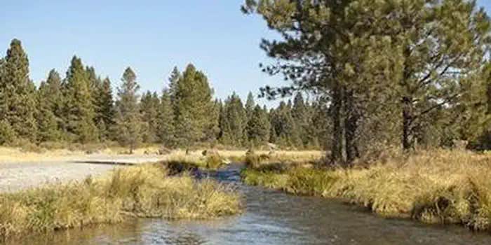 Camper submitted image from Ogden Group