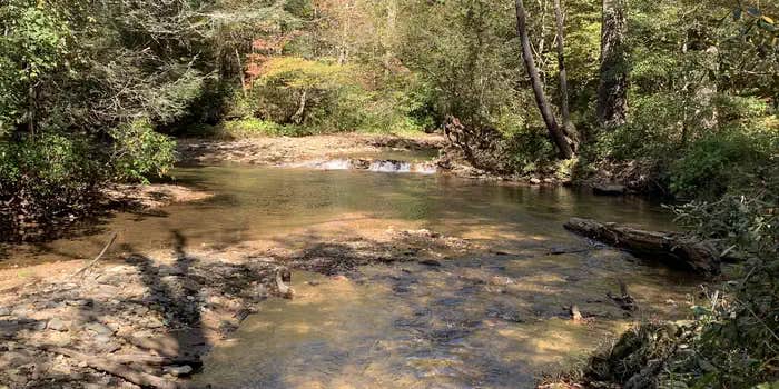 Camper submitted image from Mulky Campground