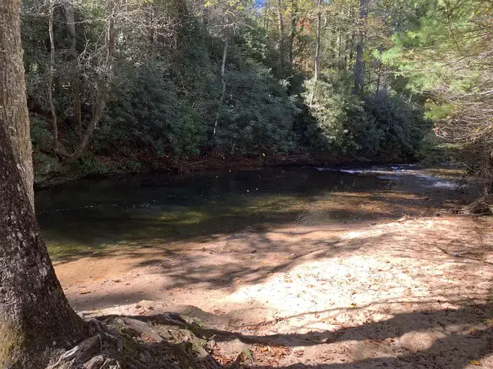 Camper-submitted photo at Mulky Campground near Morganton, GA