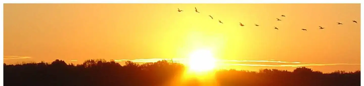 Camping near Dub Patton Campground: South Abutment Recreation Area, Coldwater, Mississippi