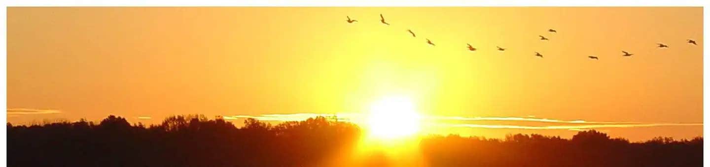 Camper submitted image from South Abutment Recreation Area - 1