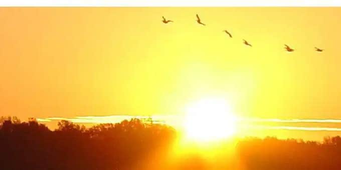 Camper submitted image from South Abutment Recreation Area