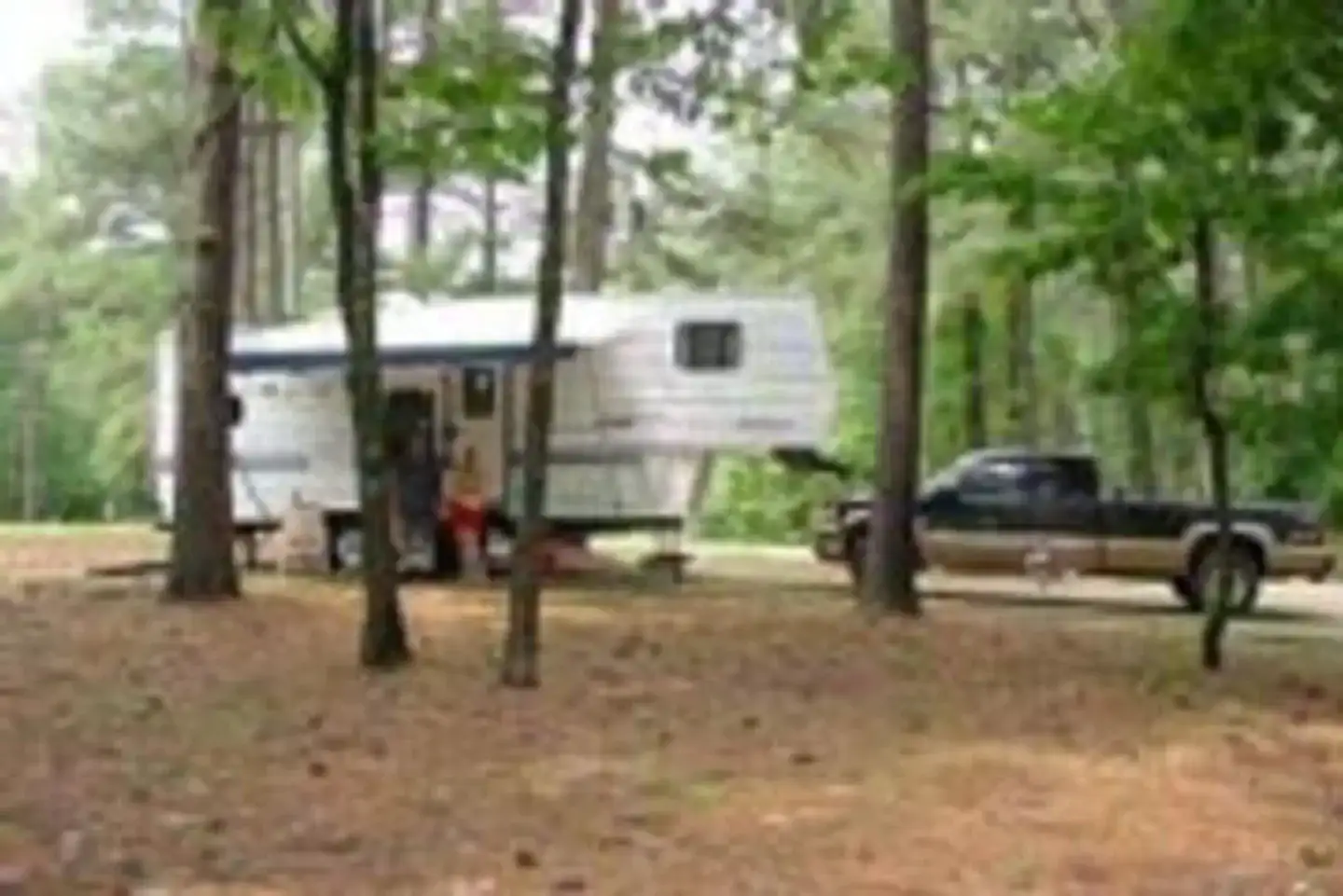 Camper-submitted photo at South Abutment Recreation Area near Robinsonville, MS