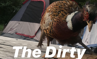 Jake R.'s photo at Maumee Bay State Park Campground near Monroe, MI