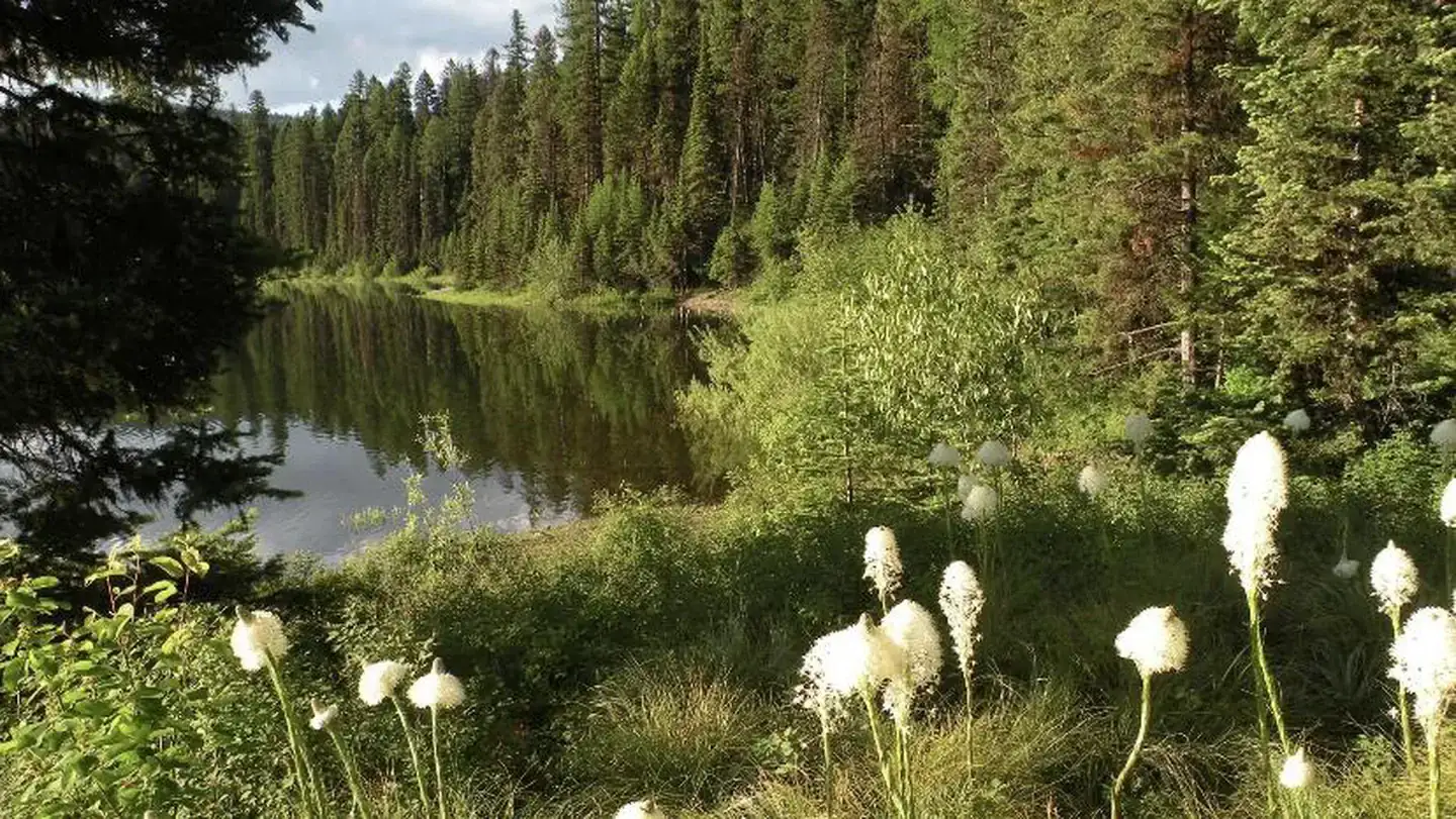 Camping near Rainy Lake Campground: Lake Inez Point 6 (group Camp Site), Seeley Lake, Montana