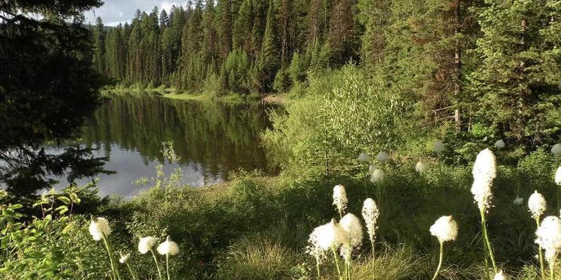 Camper submitted image from Lake Inez Point 6 (group Camp Site)