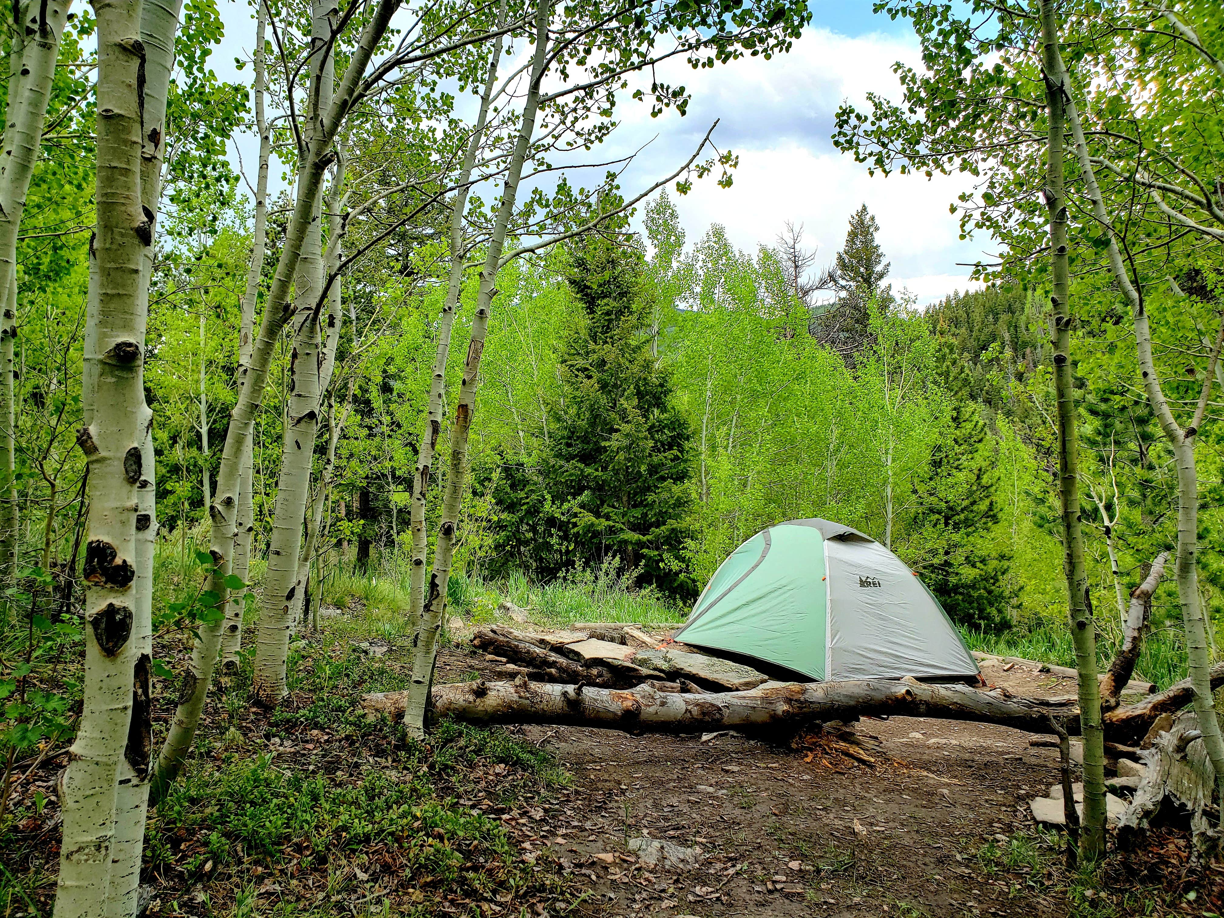 Ryan G.'s photo at Deer Creek Campground — Golden Gate Canyon near Eastlake, CO