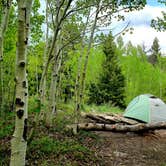 Review photo of Deer Creek Campground — Golden Gate Canyon by Ryan G., August 17, 2019