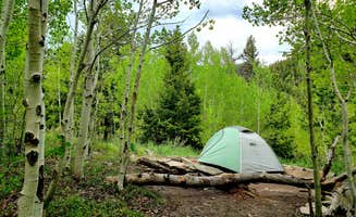 Ryan G.'s photo at Deer Creek Campground — Golden Gate Canyon near Denver, CO