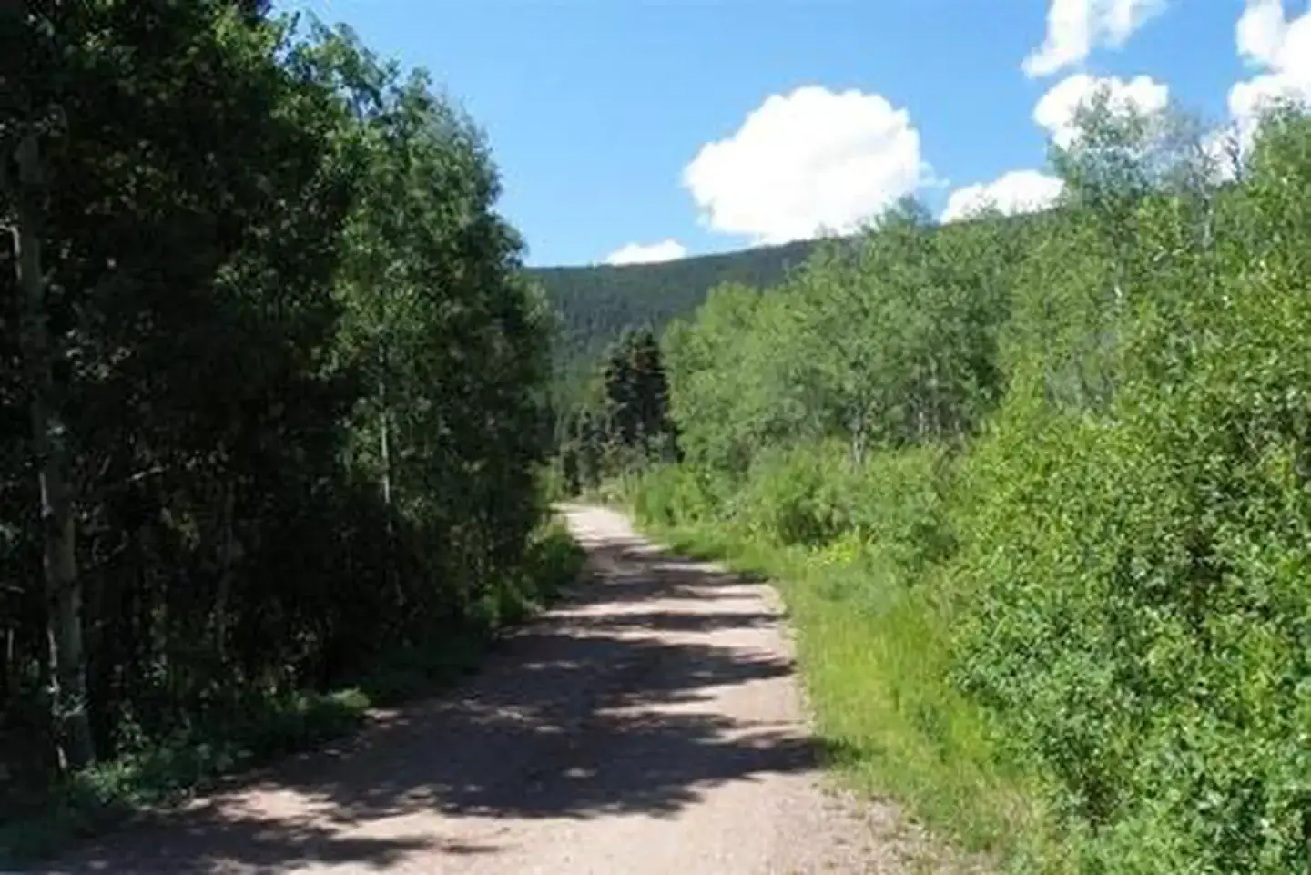 Camper-submitted photo at Alvarado Campground near Mosca, CO