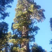 Review photo of North Grove Campground — Calaveras Big Trees State Park by Jennifer R., September 26, 2016
