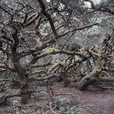 Review photo of South Beach State Park Campground by Ryan W., August 17, 2019