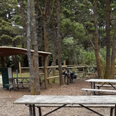 Review photo of South Beach State Park Campground by Ryan W., August 17, 2019