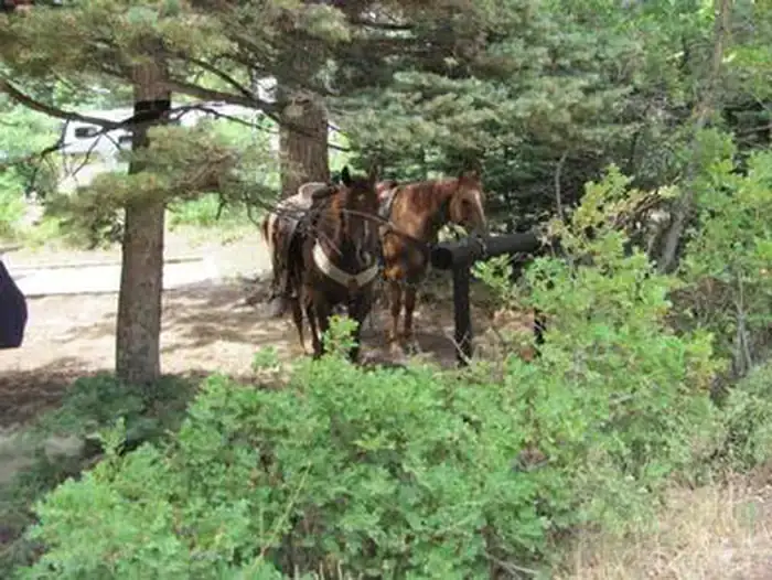 Camper-submitted photo at Alvarado Campground near Mosca, CO
