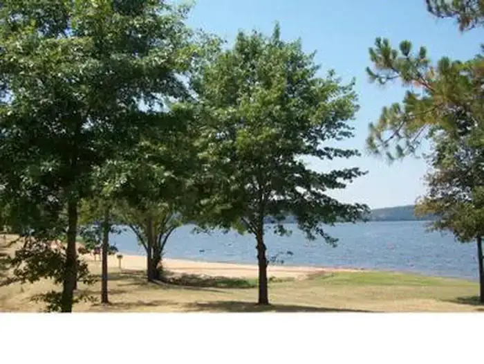 Camper-submitted photo at Piney Bay near Dover, AR