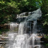 Review photo of Ricketts Glen State Park Campground by Casey H., August 17, 2019