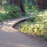 Review photo of North Grove Campground — Calaveras Big Trees State Park by Jennifer R., September 26, 2016