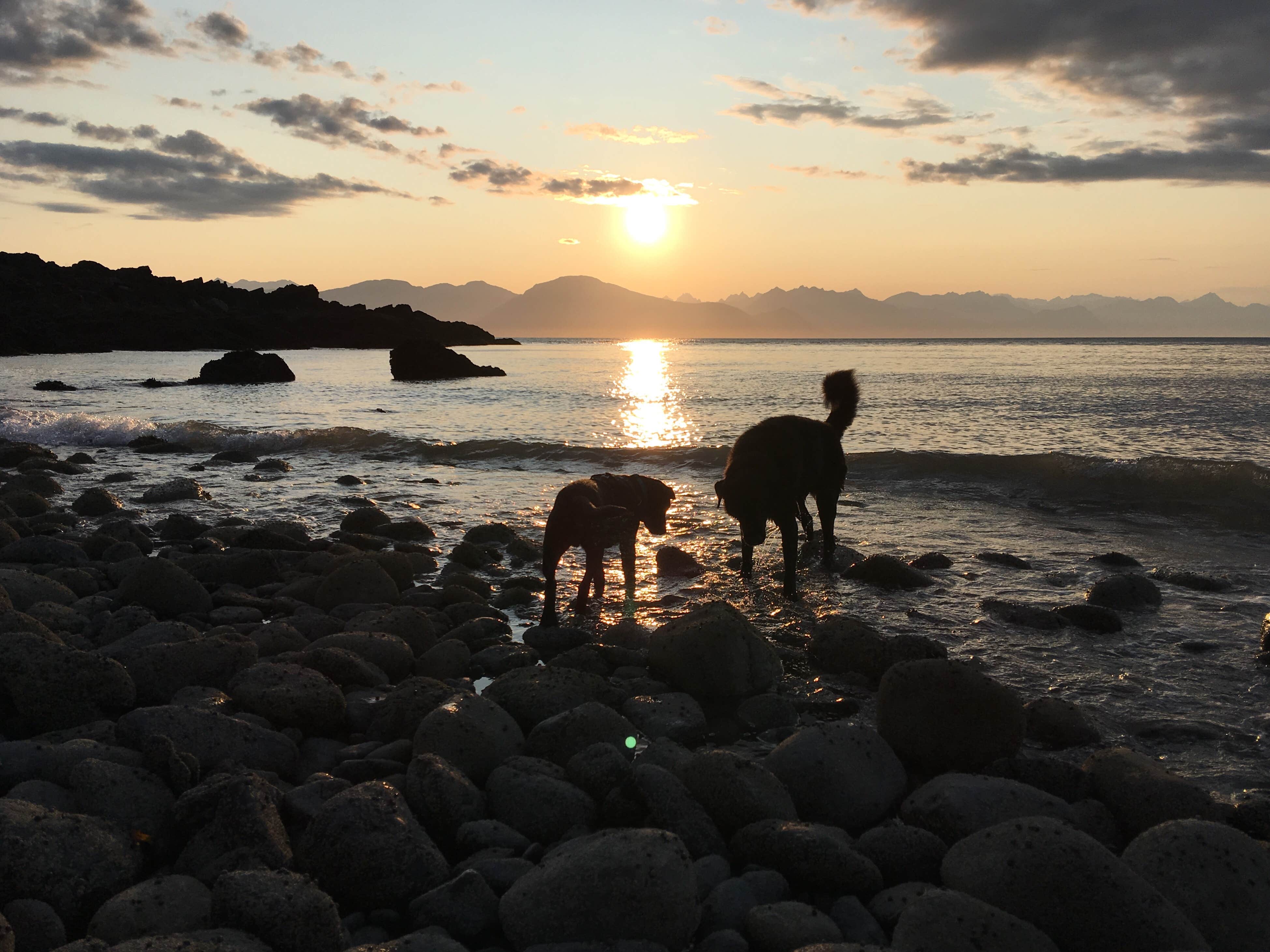 Camping near Bartlett Cove Campground — Glacier Bay National Park: Blue Mussel Cabin, Auke Bay, Alaska