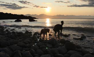 Stephanie S.'s photo of camping with pets at Blue Mussel Cabin near Haines State Forest