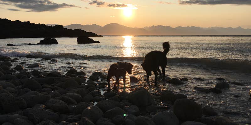 Camper submitted image from Blue Mussel Cabin