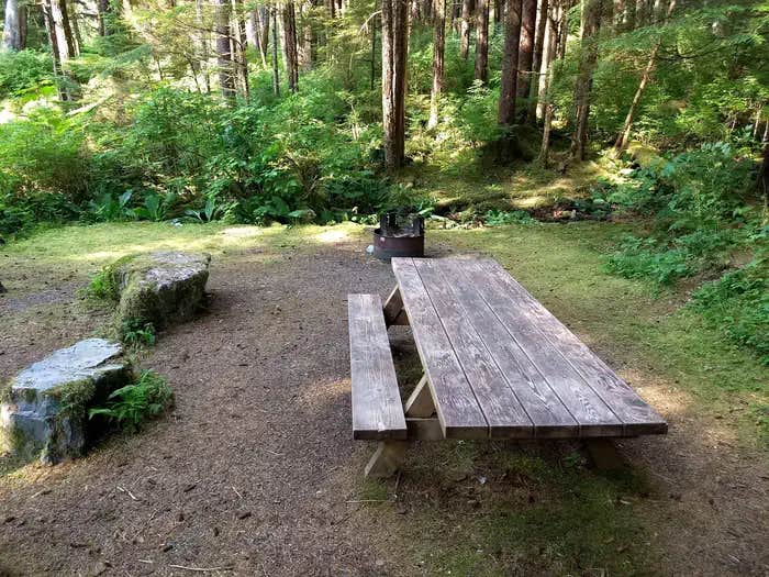 Camper submitted image from Starrigavan Campsites - 1