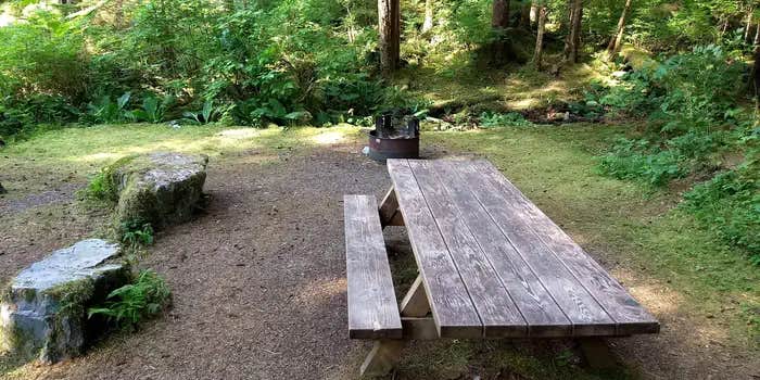 Camper submitted image from Starrigavan Campsites