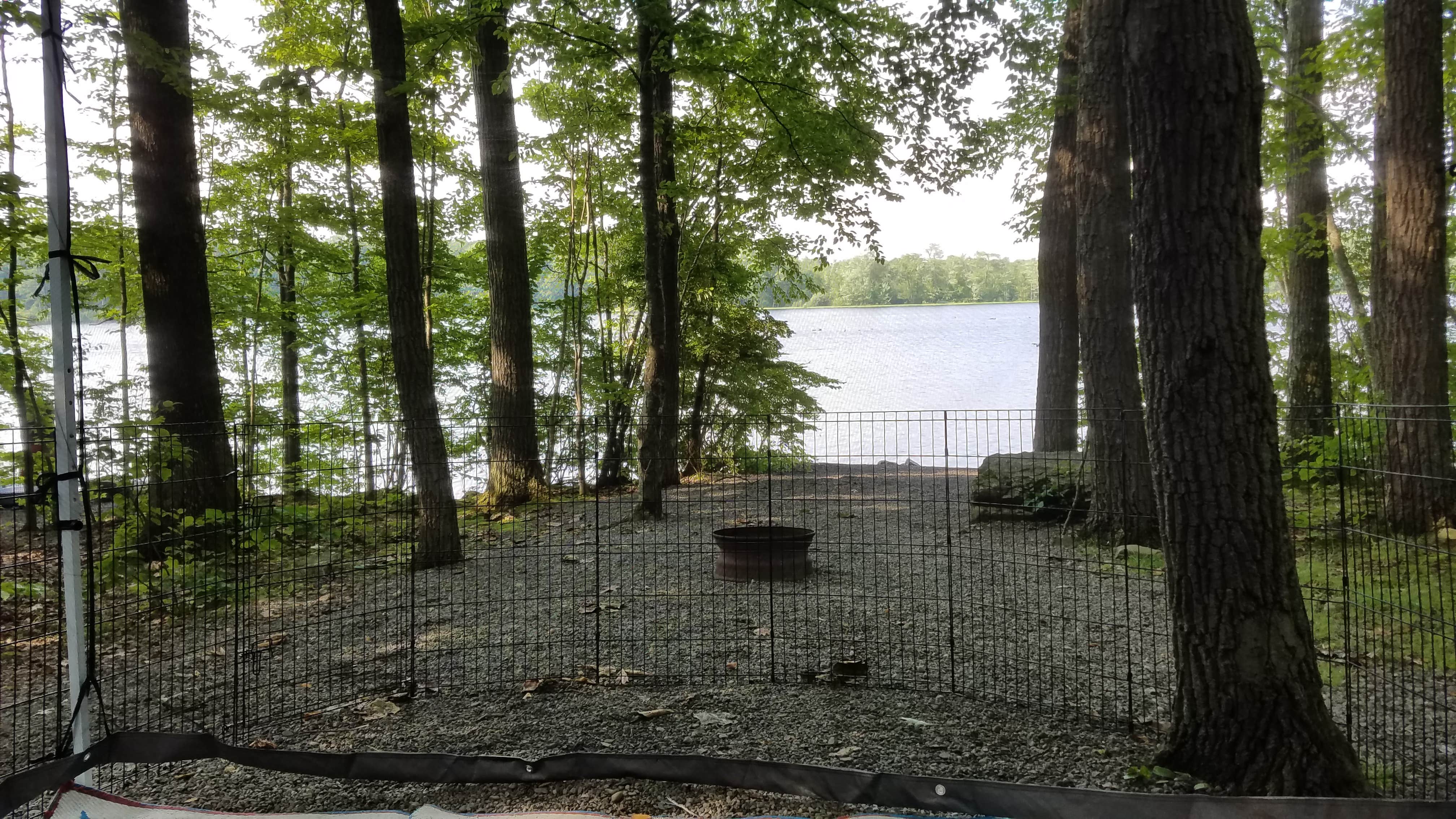 Camper submitted image from Otter Lake Camp Resort - 4