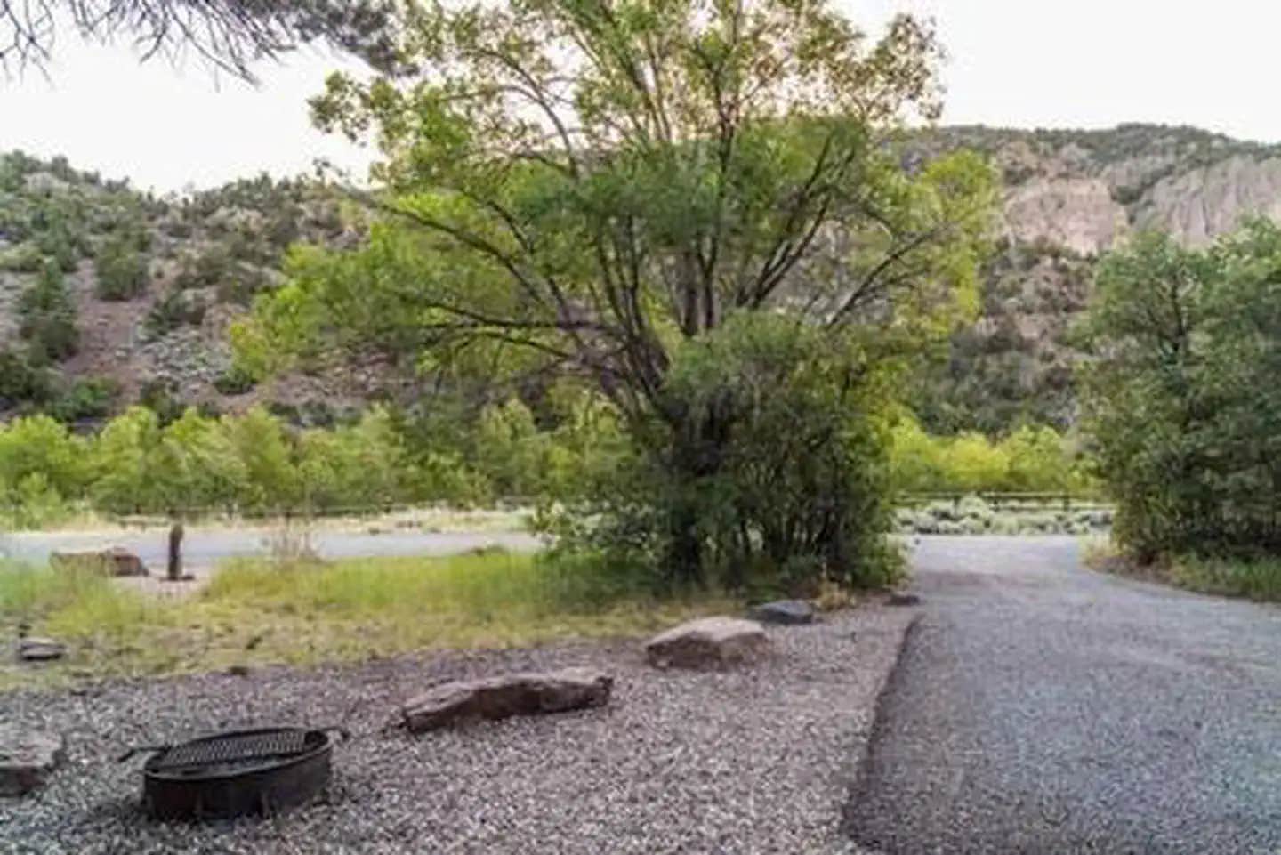 Camper submitted image from Little Cottonwood Campground - 1