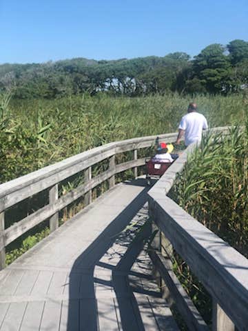 Camper submitted image from Watch Hill Family Campground — Fire Island National Seashore - 5