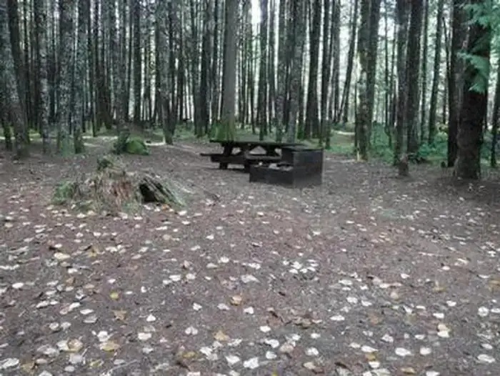 Camper-submitted photo at Toketee Lake Campground — Umpqua National Forest near Umpqua National Forest