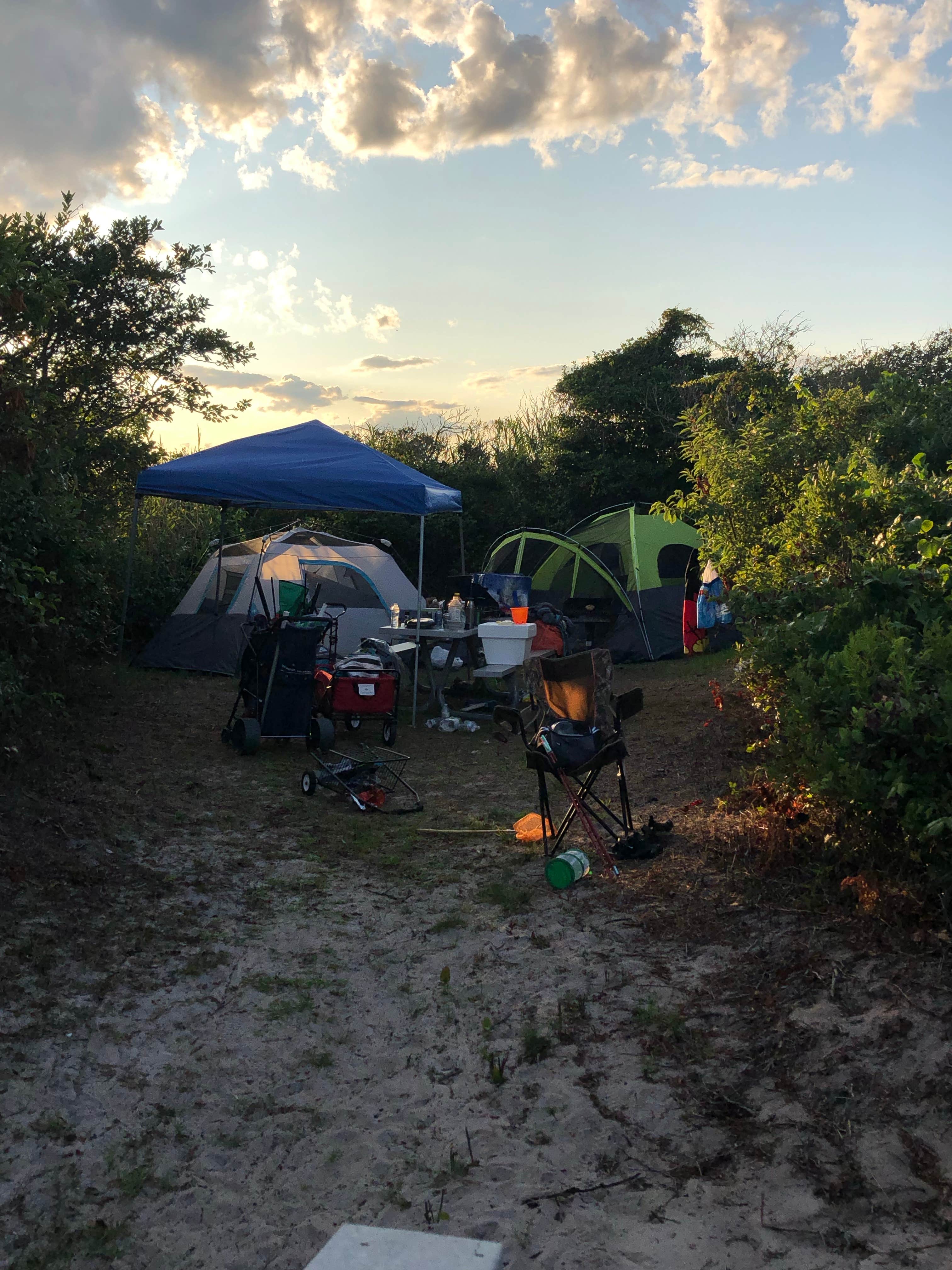 Pedro R.'s photo of tent camping at Watch Hill Fire Island Campground — Fire Island National Seashore near Roslyn Heights, NY