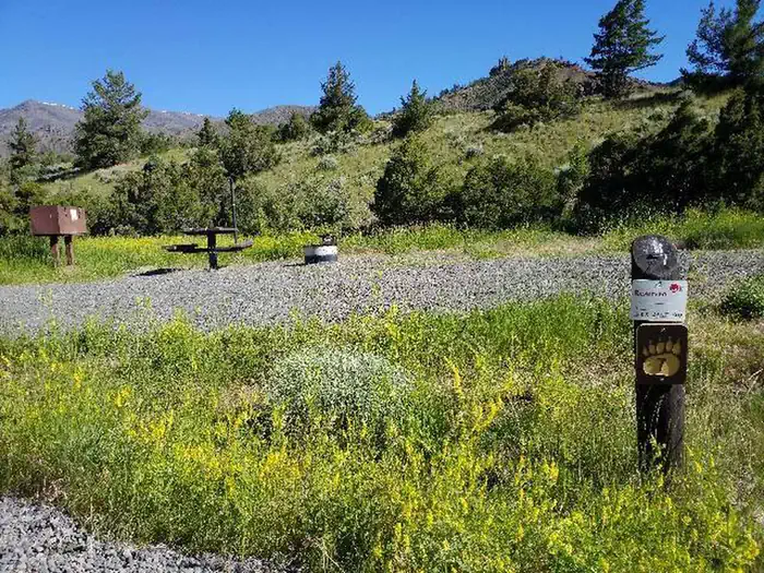 Camper-submitted photo at Rex Hale Campground near Wapiti, WY