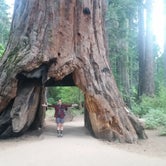 Review photo of North Grove Campground — Calaveras Big Trees State Park by Jennifer R., September 26, 2016