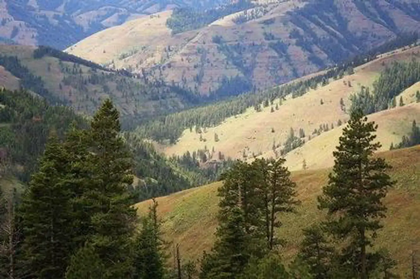 Camper-submitted photo at Summit Guard Station Bunkhouse near Pilot Rock, OR