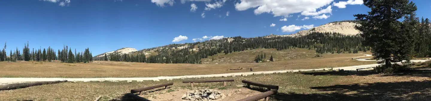 Camper submitted image from Twelve Mile Flat - 1