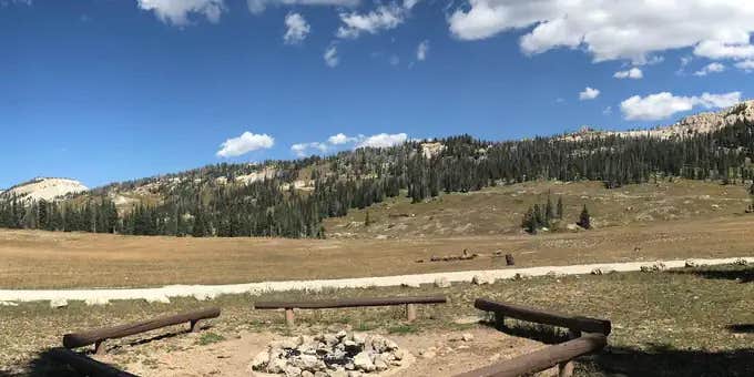 Camper submitted image from Twelve Mile Flat