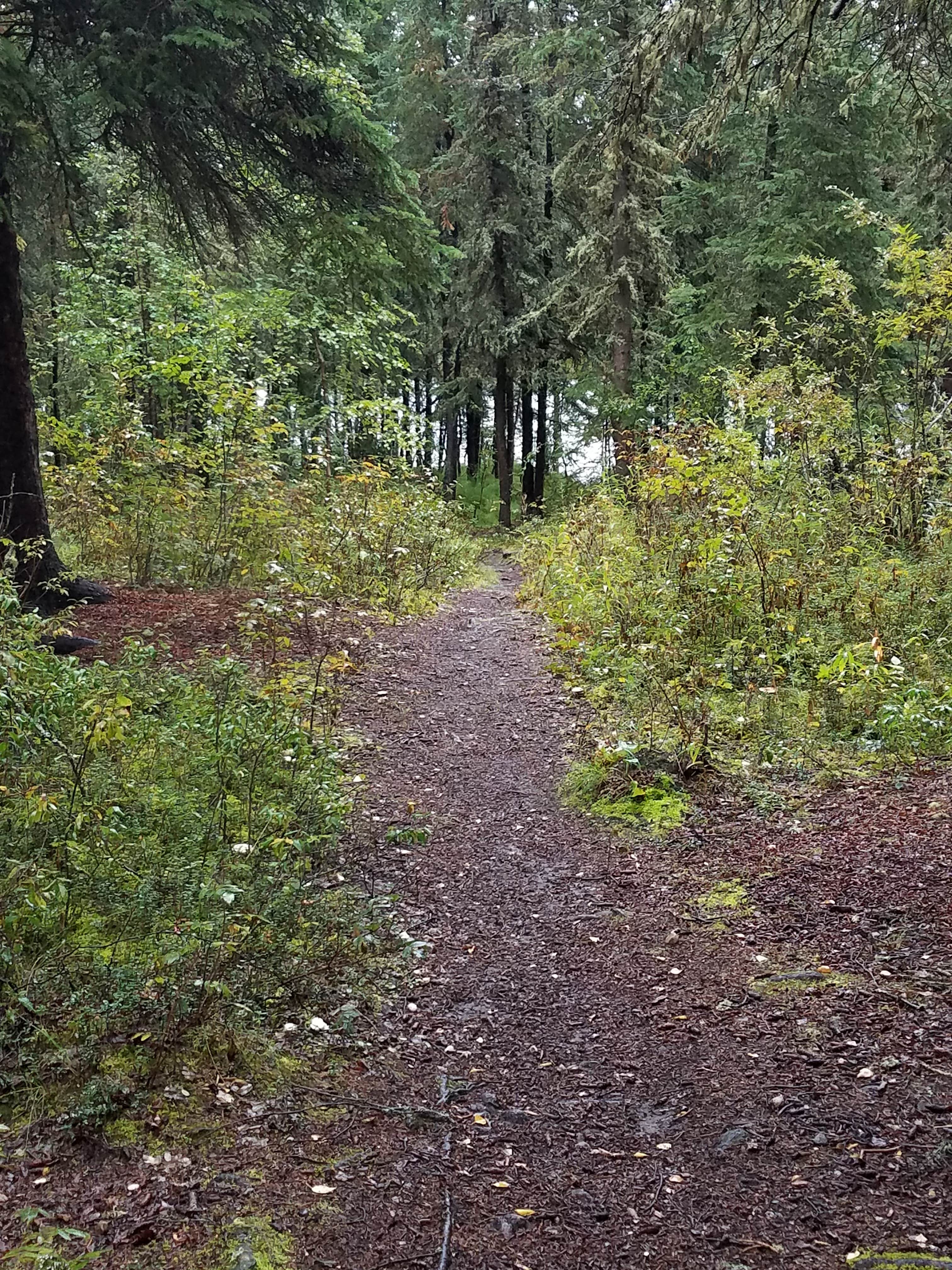 Camper-submitted photo at Clearwater State Rec Area near Fort Greely, AK