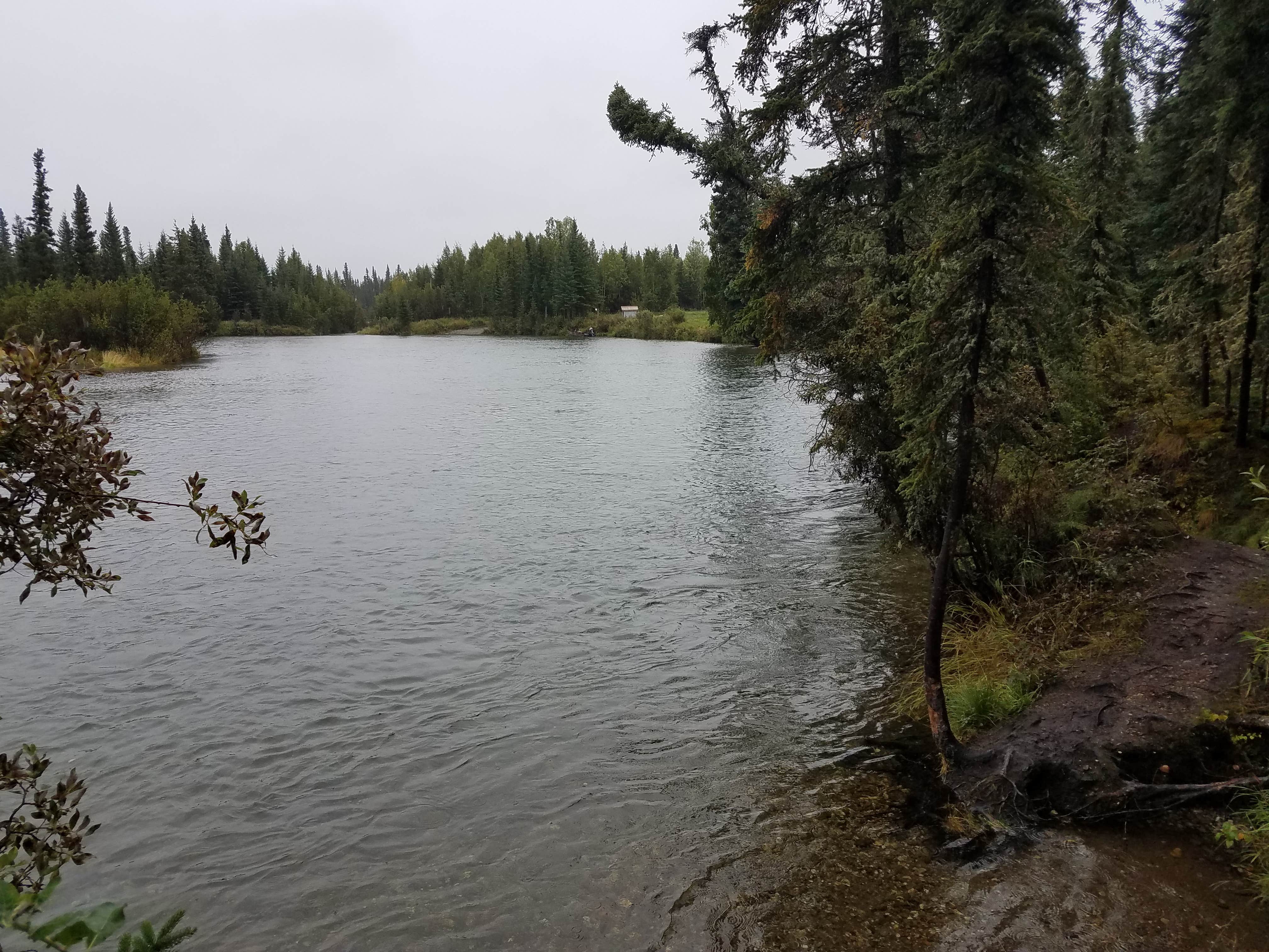 Camper-submitted photo at Clearwater State Rec Area near Fort Greely, AK