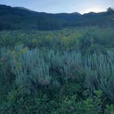 Review photo of North Fork County Park by Debbie P., August 18, 2019