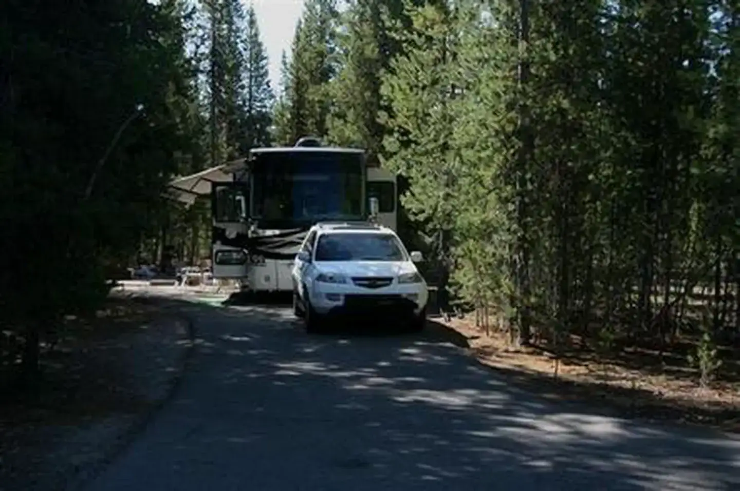 Camper-submitted photo at Broken Arrow Campground near Umpqua National Forest