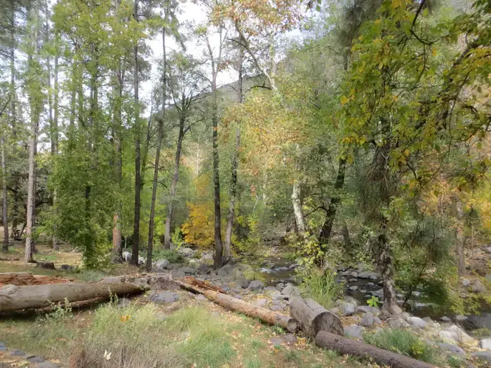 Camper-submitted photo at Manzanita Campground near Camp Verde, AZ