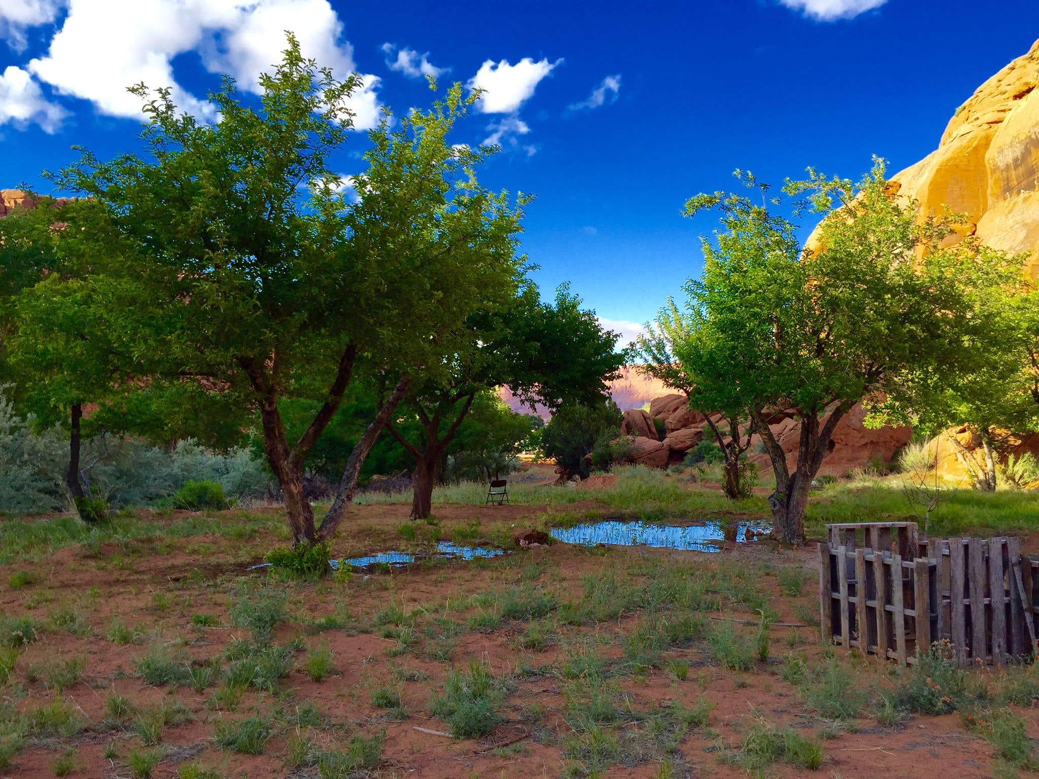 Camper-submitted photo at Narrow Canyon Orchards Campsite near Oljato-Monument Valley, UT